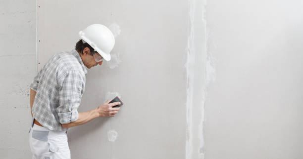 Reliable Skagway, AK Dry wall and painting Solutions